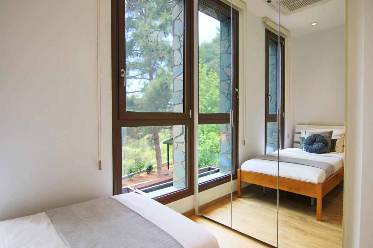 Phaedrus Living: Forest View Luxury Villa Chantara Foini Exterior photo