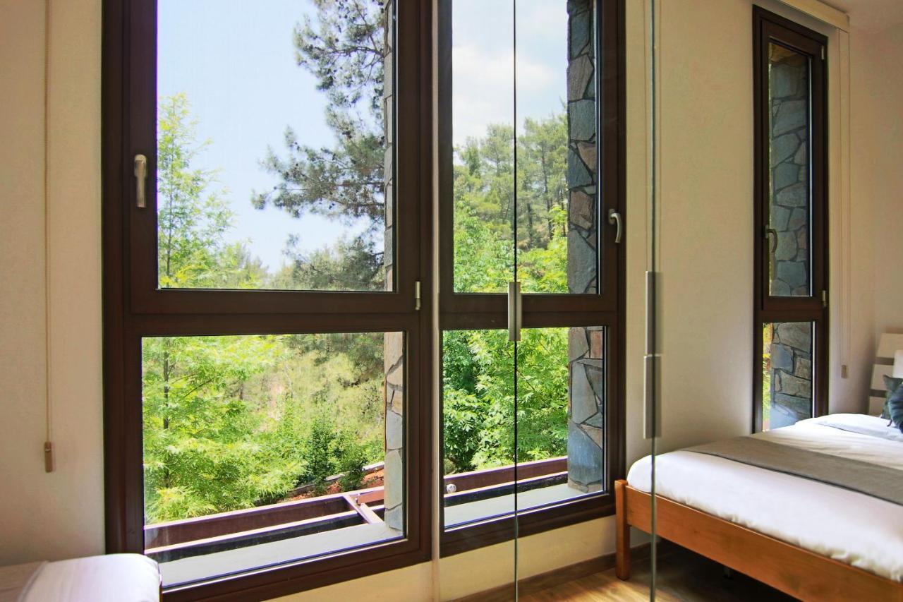 Phaedrus Living: Forest View Luxury Villa Chantara Foini Exterior photo